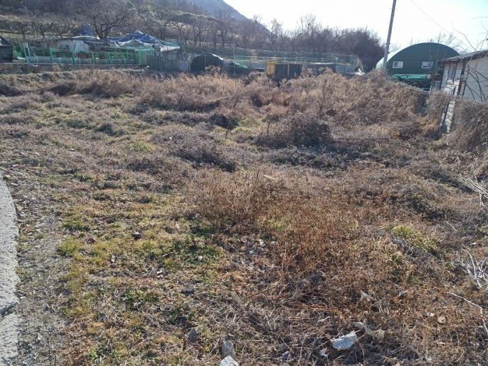2024타경3164 경매 물건 대표 사진
