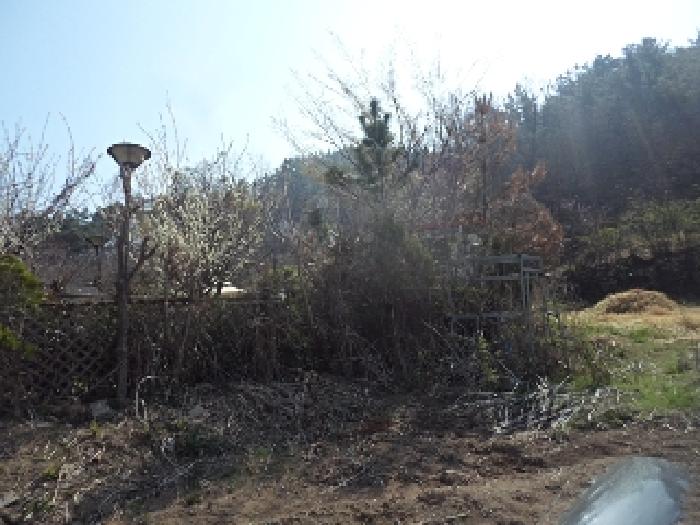 2025타경10271 경매 물건 대표 사진