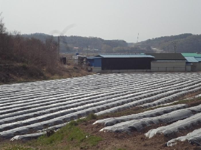 2025타경10289 경매 물건 대표 사진