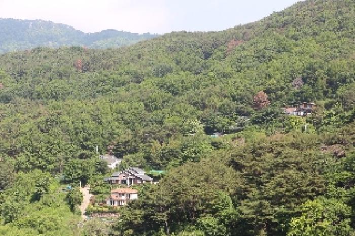 2025타경10339 경매 물건 대표 사진