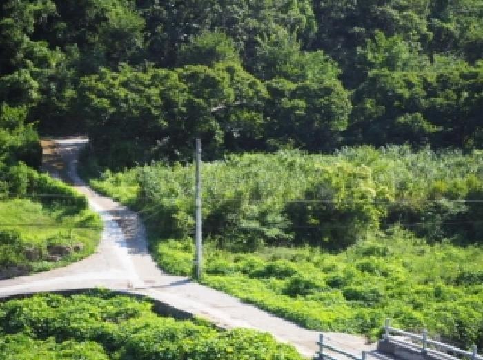 2025타경10428 경매 물건 대표 사진