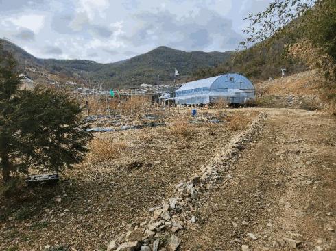 2025타경10453 밀양지원 전답 법원경매 사진