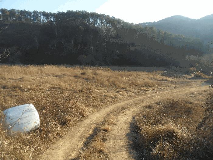 2025타경10560 경매 물건 대표 사진