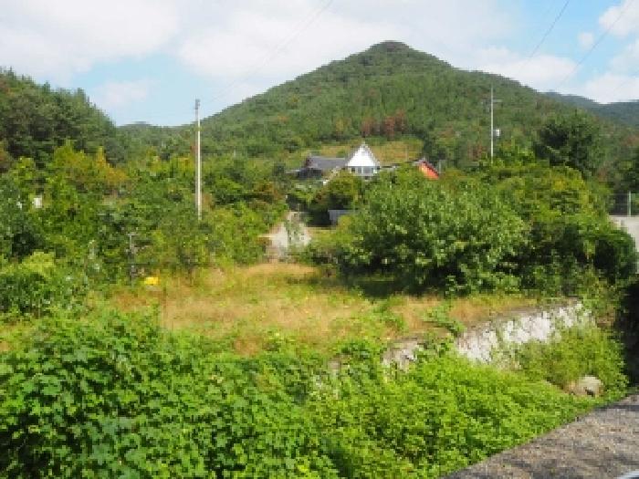 2025타경1905 경매 물건 대표 사진