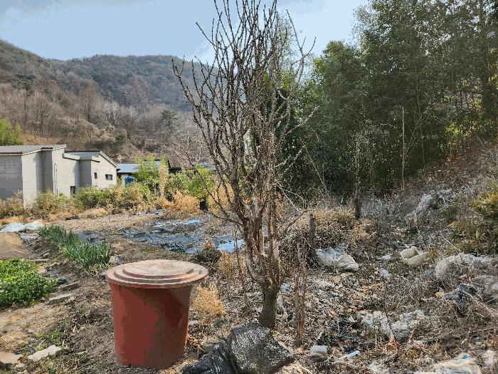2025타경322 경매 물건 대표 사진