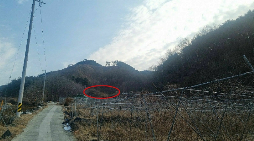 2025타경10063 경매 물건 대표 사진
