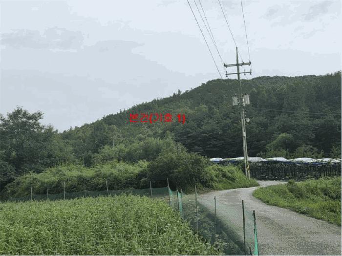 2025타경10315 경매 물건 대표 사진