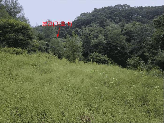 2025타경165 경매 물건 대표 사진