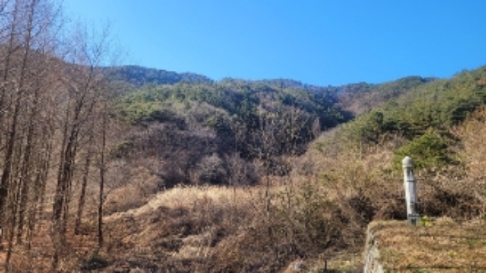2024타경107005 마산지원 임야 법원경매 사진
