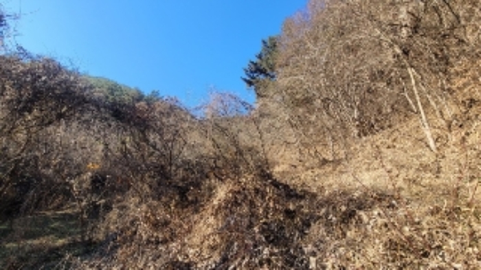 2024타경107005 마산지원 대지,임야,전답 법원경매 사진