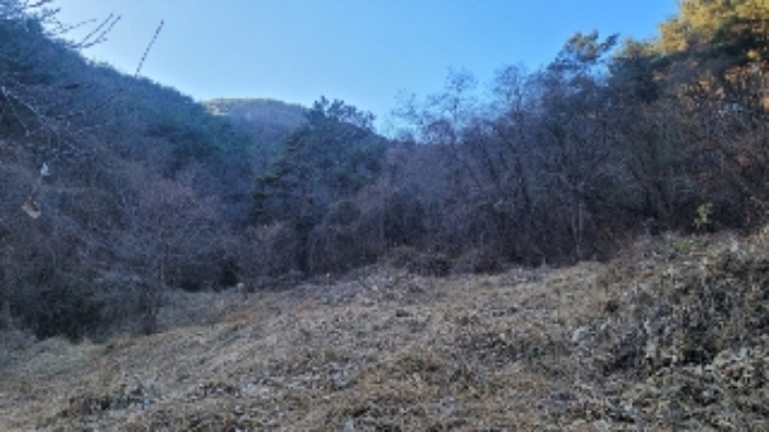 2024타경107005 마산지원 임야 법원경매 사진