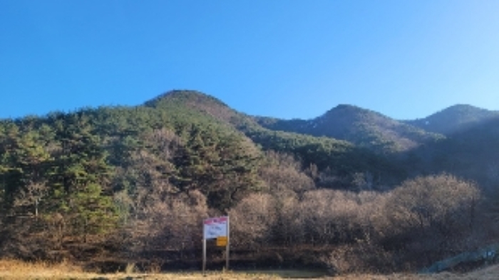 2024타경107005 마산지원 임야 법원경매 사진