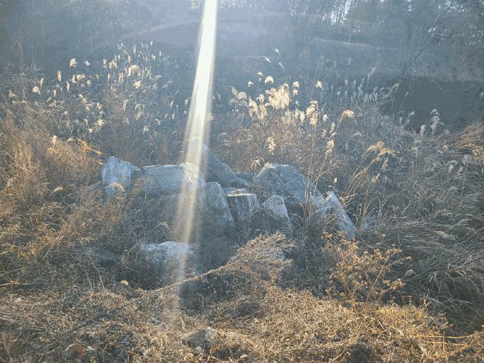 2024타경3233 경매 물건 대표 사진
