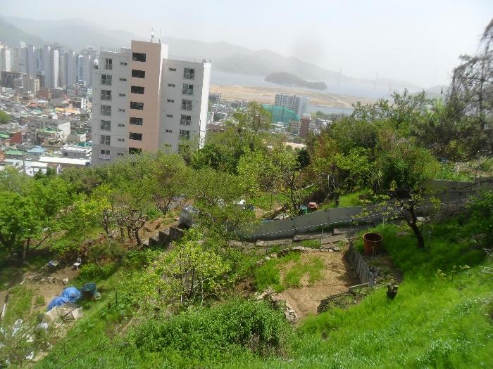 2024타경371 경매 물건 대표 사진