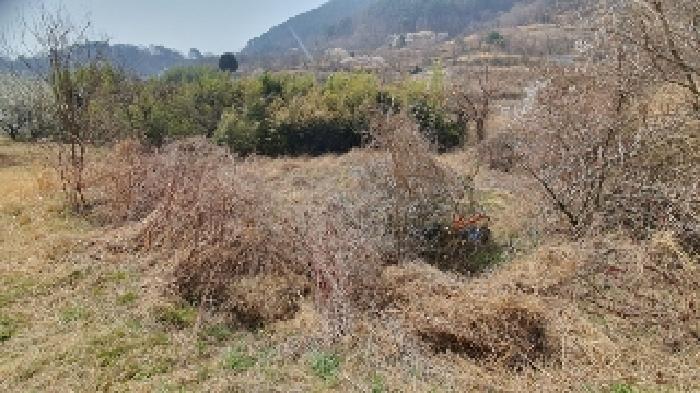 2025타경20435 경매 물건 대표 사진
