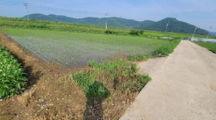 2025타경20665 경매 물건 대표 사진