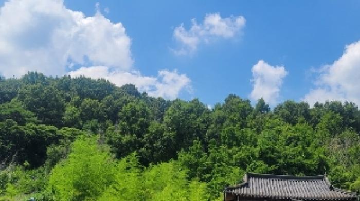 2025타경20740 경매 물건 대표 사진