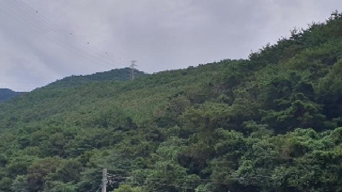 2025타경20830 경매 물건 대표 사진