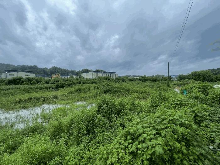 2025타경253 경매 물건 대표 사진