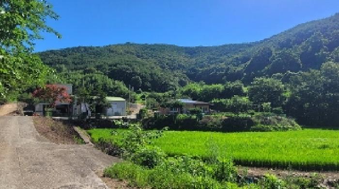 2025타경263 마산지원 전답 법원경매 사진
