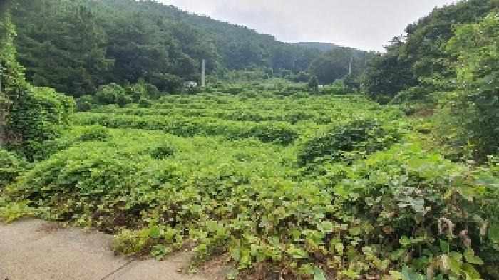 2025타경279 경매 물건 대표 사진