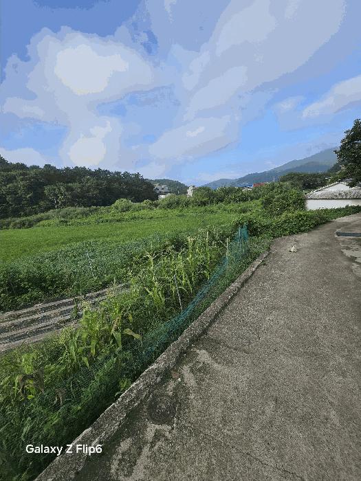 2025타경281 경매 물건 대표 사진