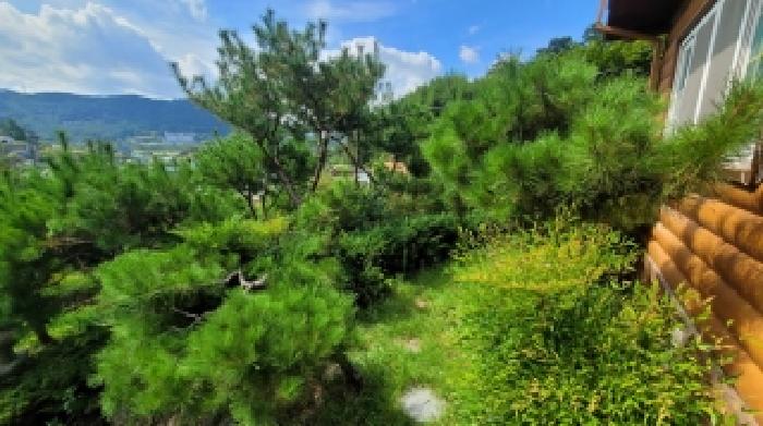 2025타경296 마산지원 단독주택다가구 법원경매 사진