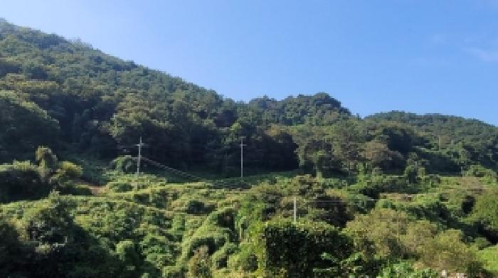 2025타경310 마산지원 임야 법원경매 사진
