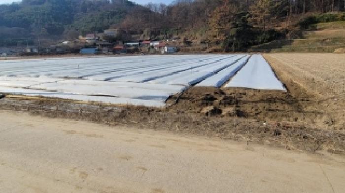 2025타경350 경매 물건 대표 사진