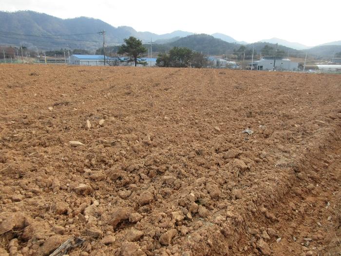 2024타경88489 경매 물건 대표 사진