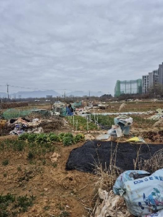 2025타경1212 경매 물건 대표 사진