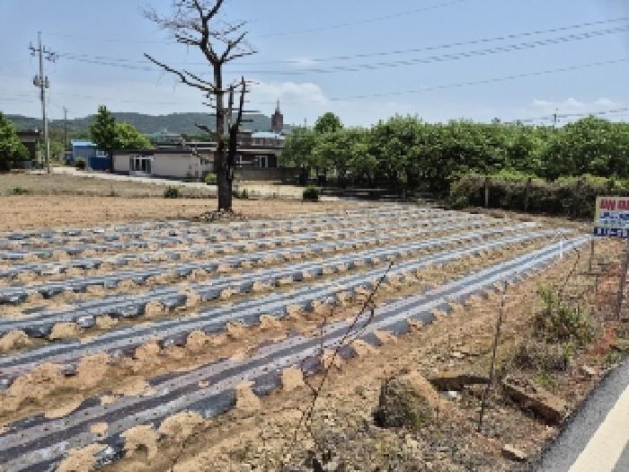 2025타경2376 경매 물건 대표 사진