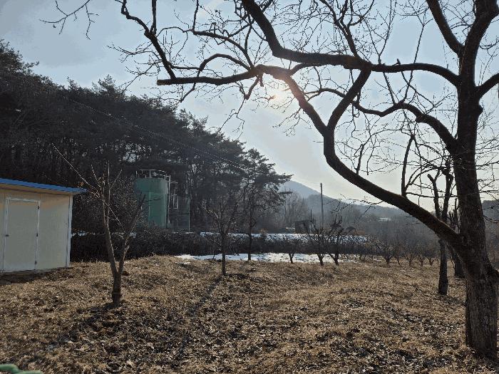 2025타경30241 경매 물건 대표 사진