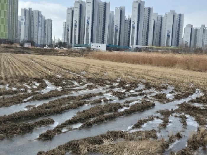 2025타경31596 광주지방법원 대지,임야,전답 법원경매 사진