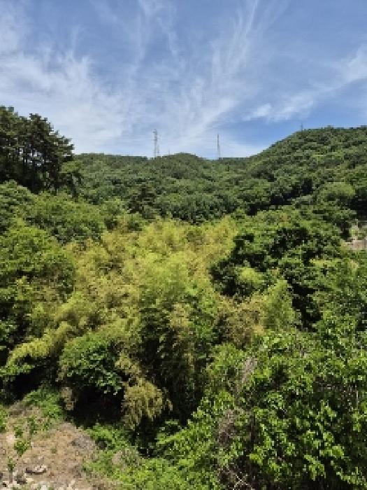 2025타경32902 경매 물건 대표 사진