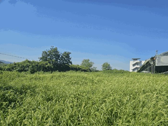 2025타경33246 경매 물건 대표 사진