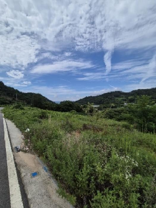 2025타경33467 경매 물건 대표 사진