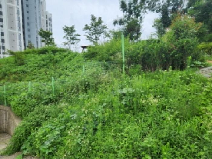 2025타경33471 경매 물건 대표 사진