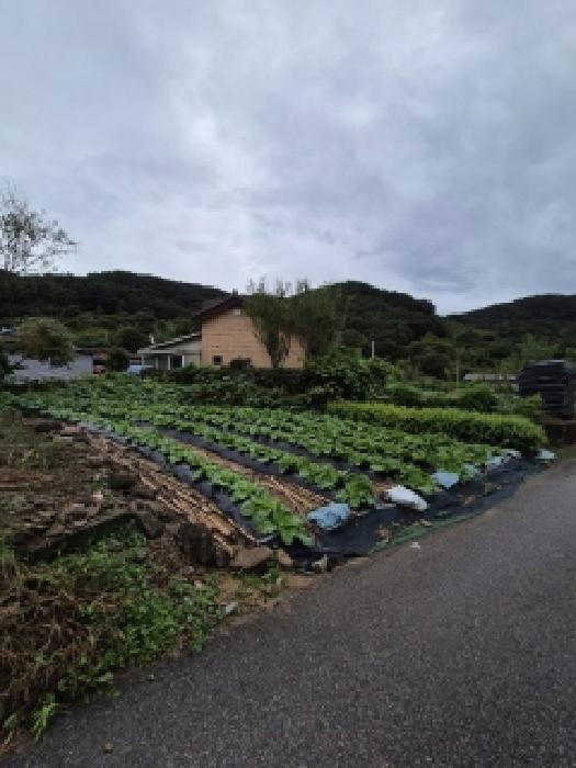 2025타경33881 경매 물건 대표 사진