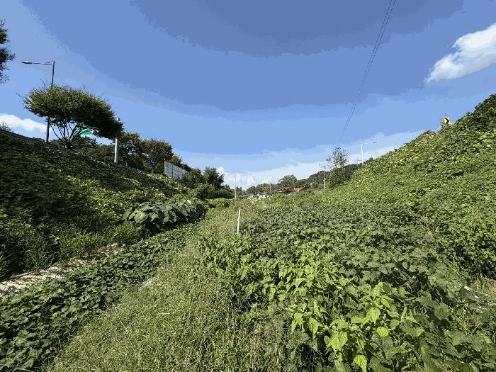 2025타경33897 광주지방법원 답 법원경매 사진