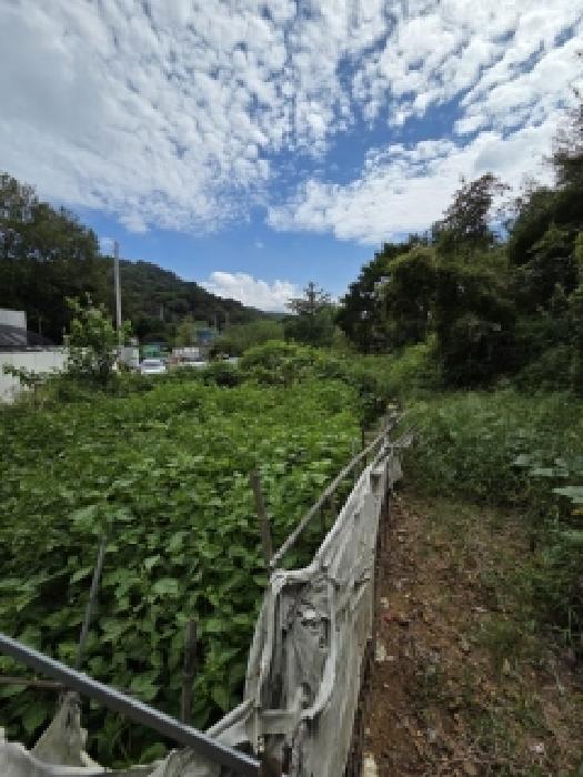 2025타경33899 경매 물건 대표 사진