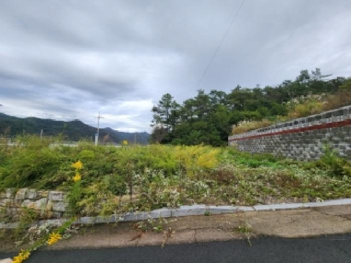 2025타경33962 경매 물건 대표 사진