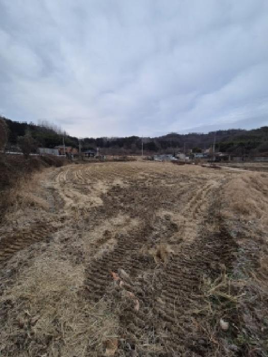 2025타경34645 경매 물건 대표 사진