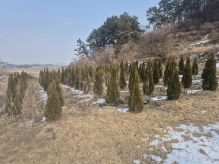 2025타경34710 경매 물건 대표 사진