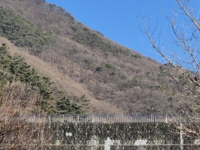 2025타경34723 경매 물건 대표 사진