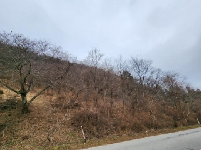 2025타경34783 경매 물건 대표 사진
