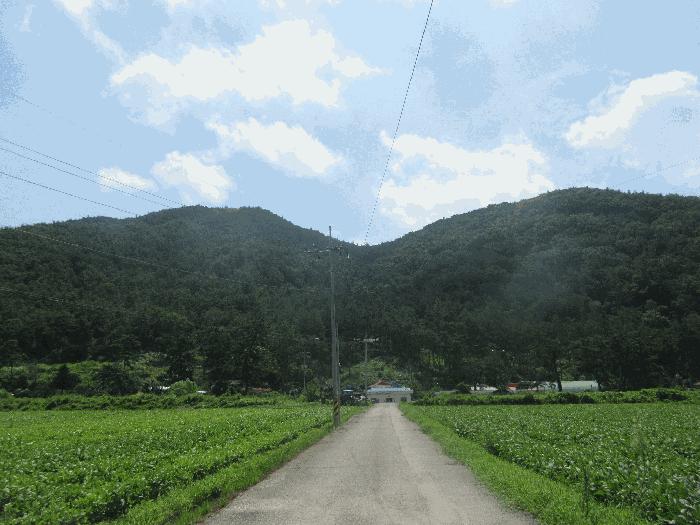 2025타경4983 경매 물건 대표 사진