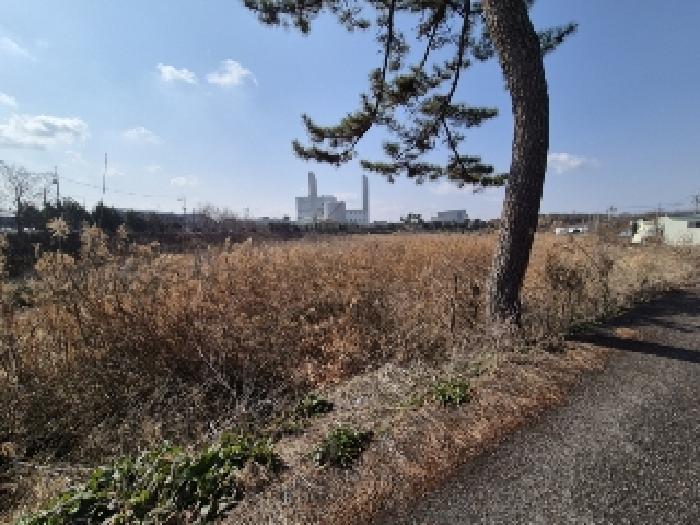 2025타경905 경매 물건 대표 사진