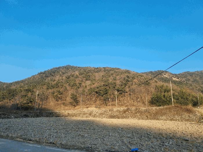 2026타경30163 경매 물건 대표 사진