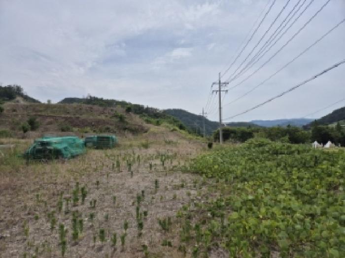 2025타경423 경매 물건 대표 사진